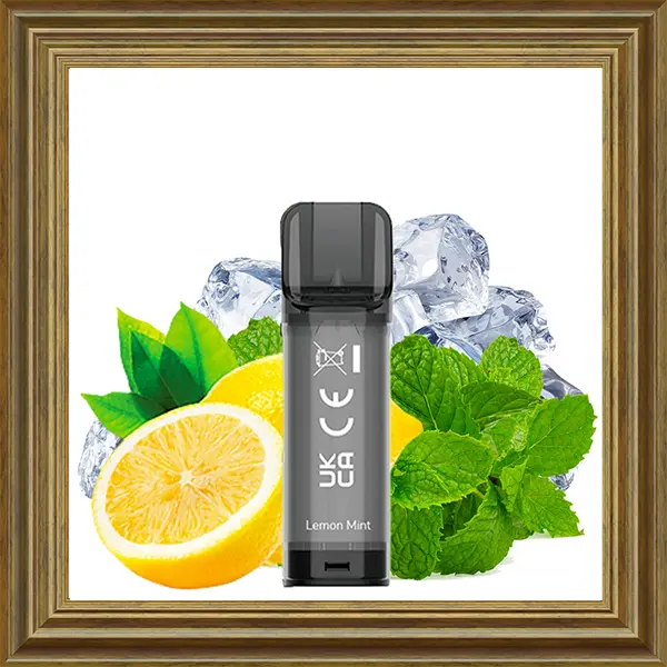 Elfbar Elfa Lemon Mint 2ml/20mg